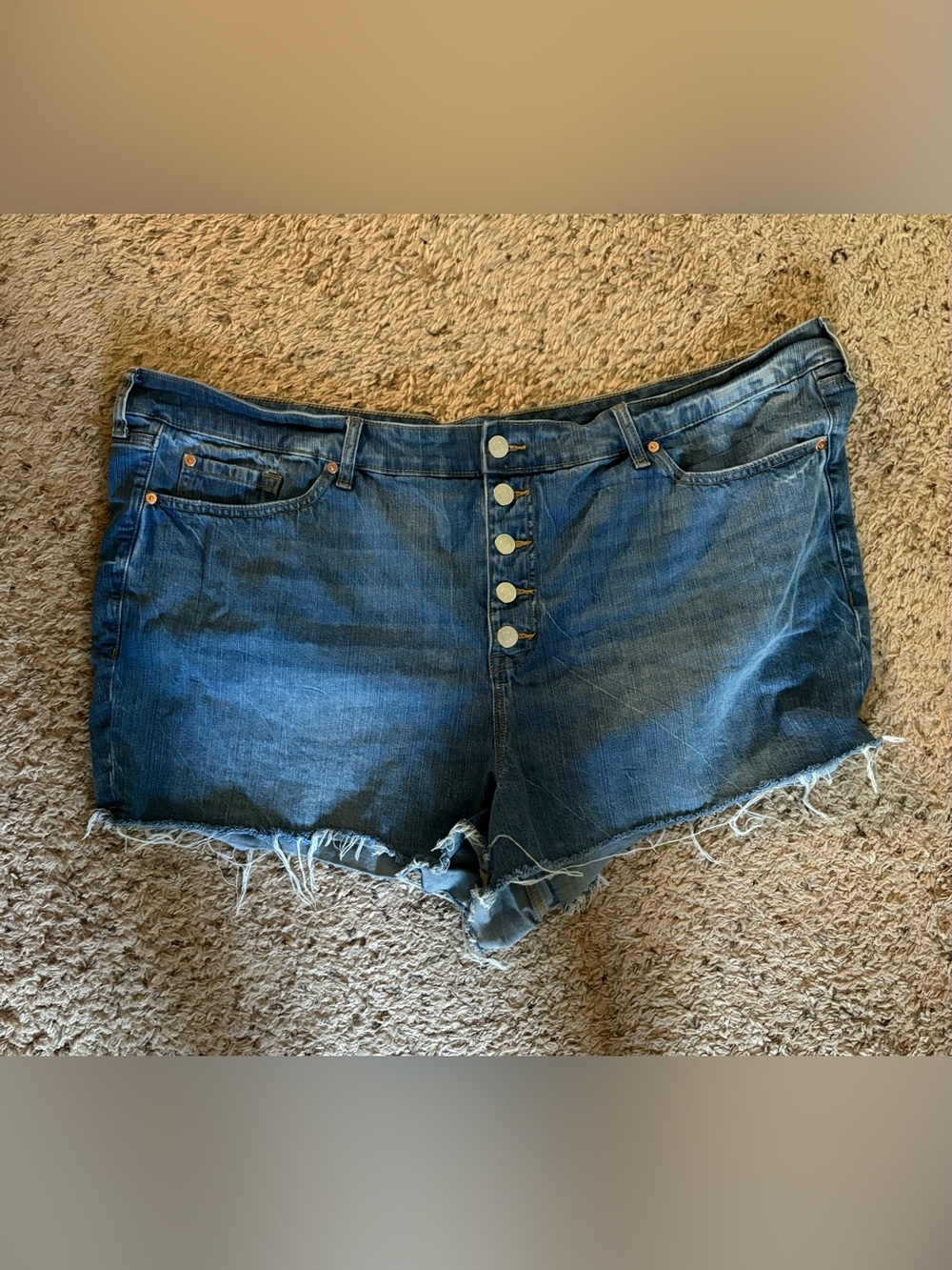 Plus Size Jean Shorts